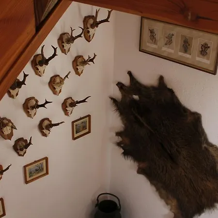 Σπίτι διακοπών Altes Forsthaus