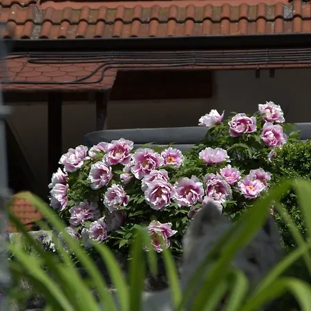 Altes Forsthaus Gebsattel