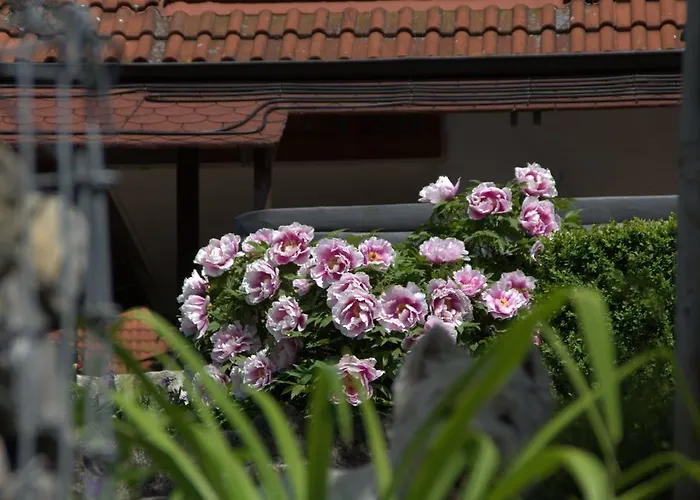 Altes Forsthaus Gebsattel