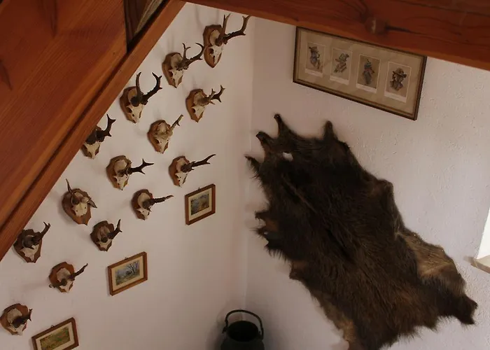 Prázdninový dům Altes Forsthaus